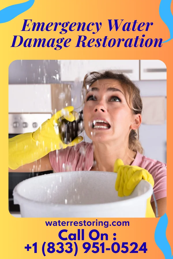 Emergency Water Damage Restoration in Epps, LA