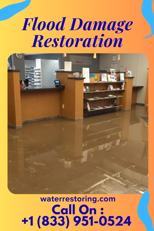 Flood Damage Restoration in Epps, LA